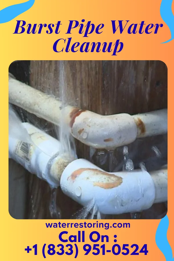 Burst Pipe Water Cleanup in Riverview Estates, MO