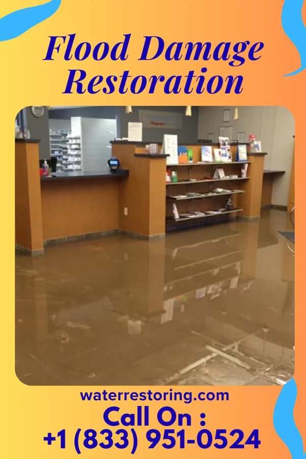 Flood Damage Restoration in Riverview Estates, MO