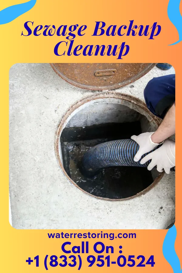 Sewage Backup Cleanup in Riverview Estates, MO